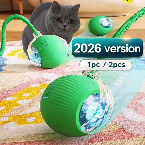 Gatto che gioca con PallaPlay, palla interattiva smart
