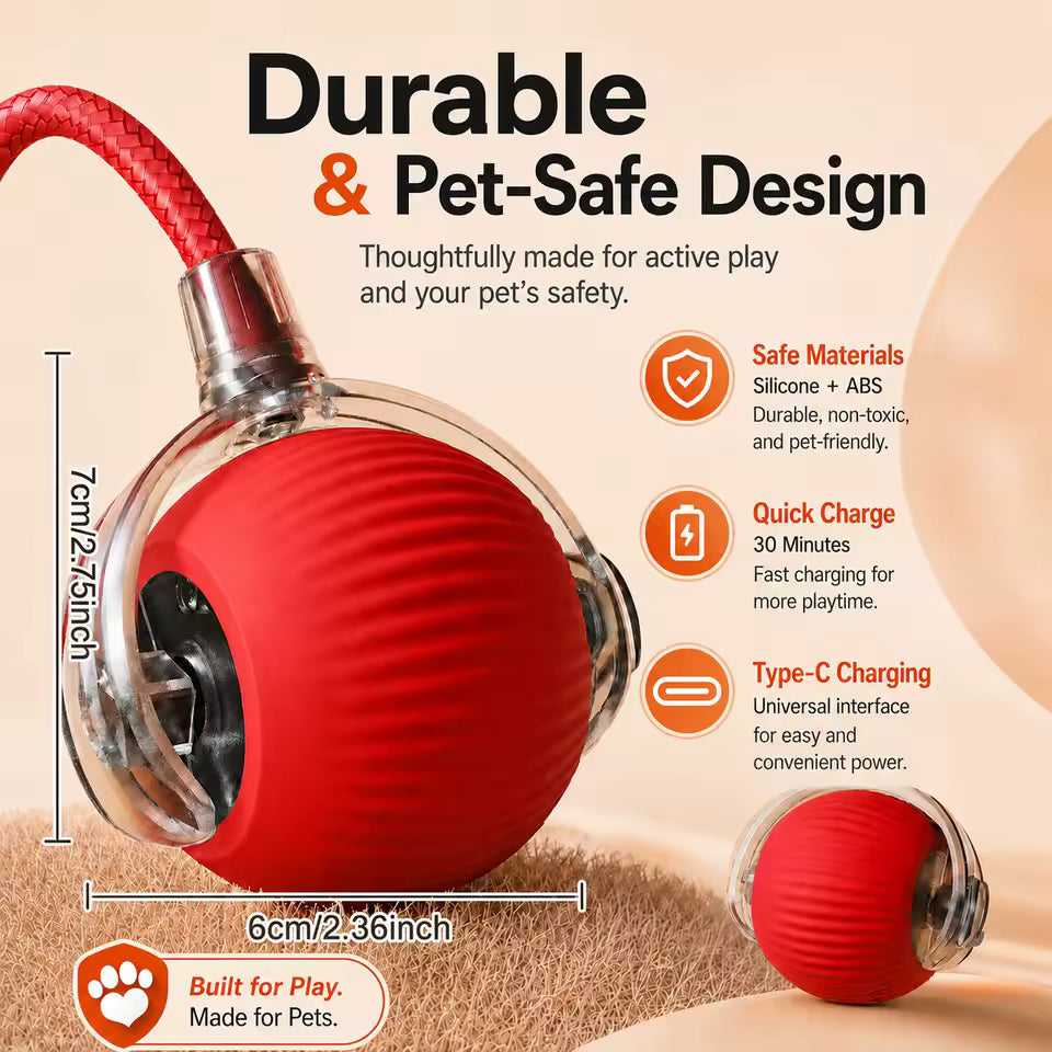 Design sicuro e resistente, materiali pet-safe